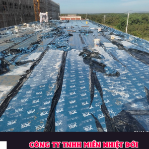 Màng chống thấm tự dính